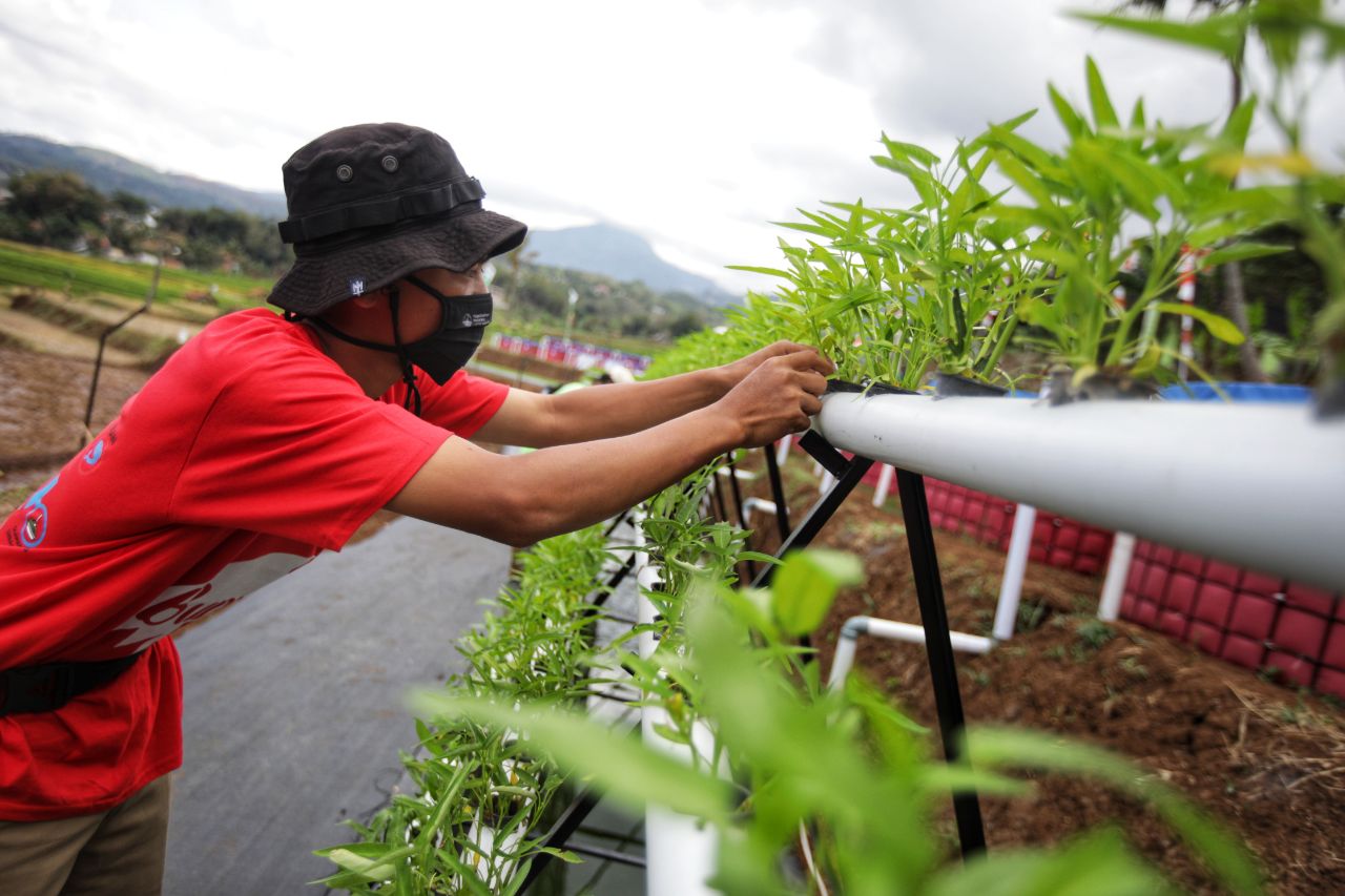 You are currently viewing Kawasan Pertanian Terpadu ‘Sekemala Integrated Farming’ Hadir di Ujungberung