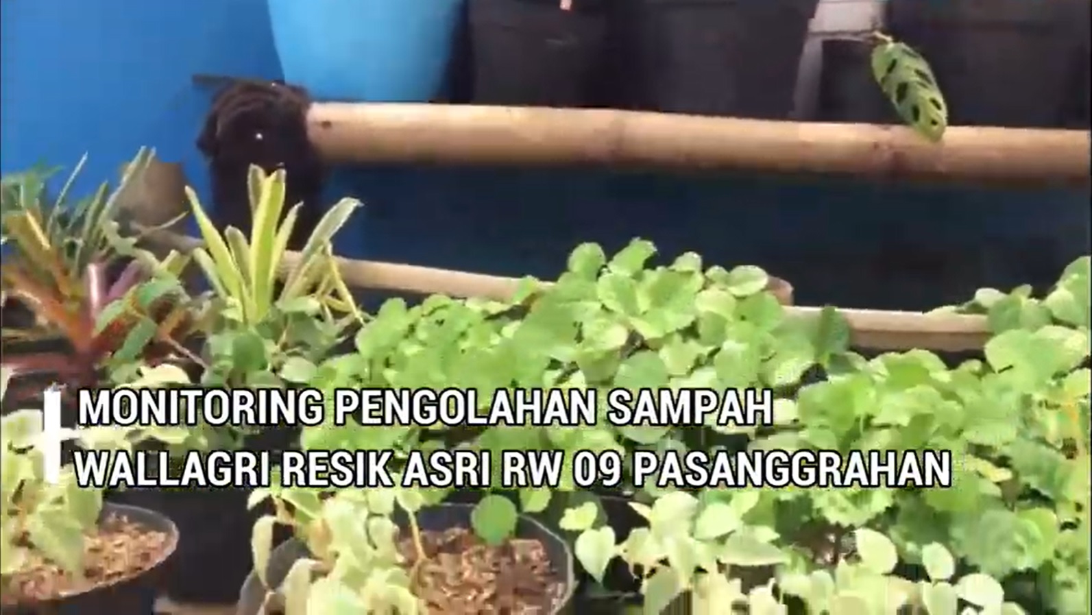 Monitoring Pelolahan Sampah Organik Sisa Sampah Dapur Rumah Tangga